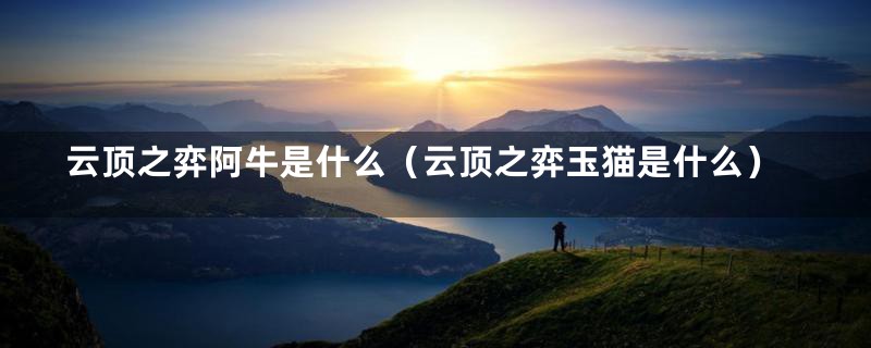 云顶之弈阿牛是什么（云顶之弈玉猫是什么）