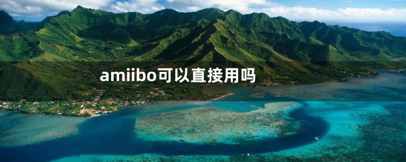 amiibo可以直接用吗