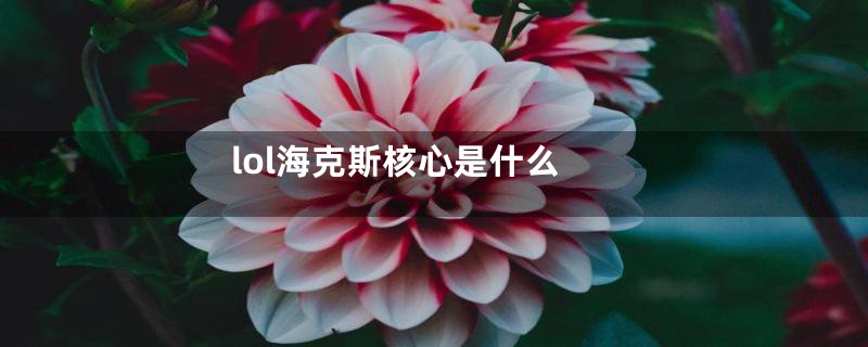 lol海克斯核心是什么