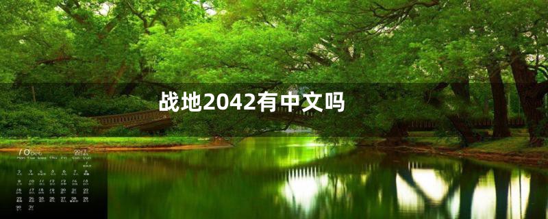 战地2042有中文吗