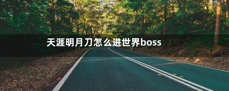 天涯明月刀怎么进世界boss