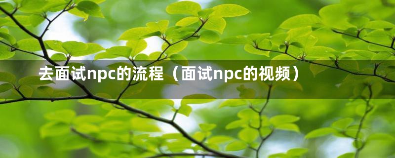 去面试npc的流程（面试npc的视频）