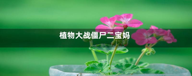 植物大战僵尸二宝妈