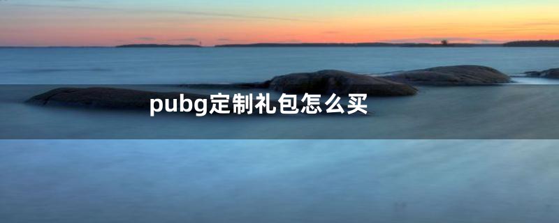 pubg定制礼包怎么买