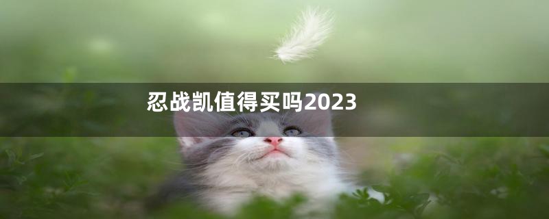 忍战凯值得买吗2023