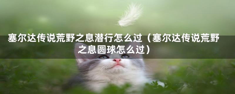 塞尔达传说荒野之息潜行怎么过（塞尔达传说荒野之息圆球怎么过）