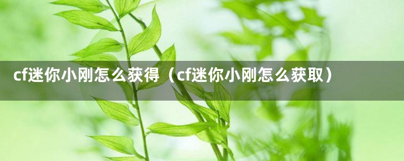 cf迷你小刚怎么获得（cf迷你小刚怎么获取）