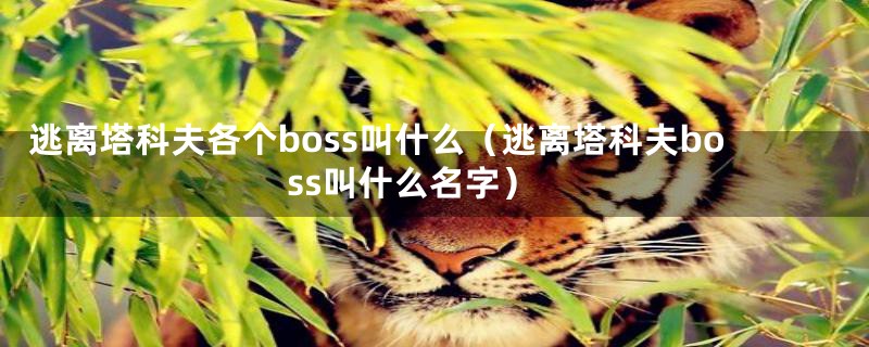 逃离塔科夫各个boss叫什么（逃离塔科夫boss叫什么名字）