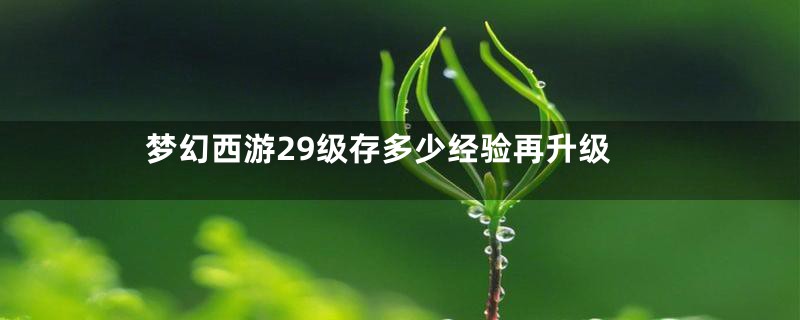 梦幻西游29级存多少经验再升级