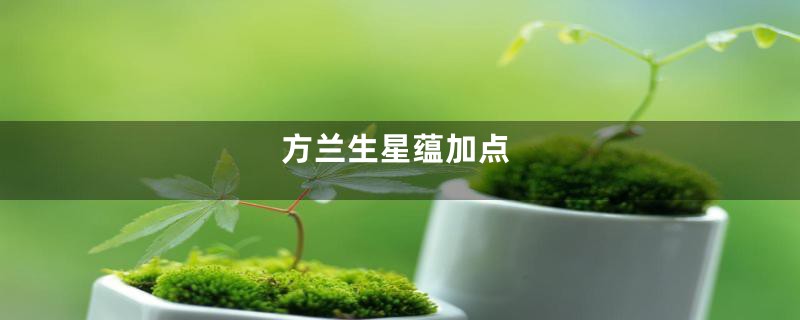 方兰生星蕴加点