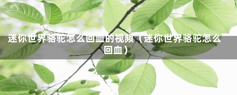 迷你世界骆驼怎么回血的视频（迷你世界骆驼怎么回血）