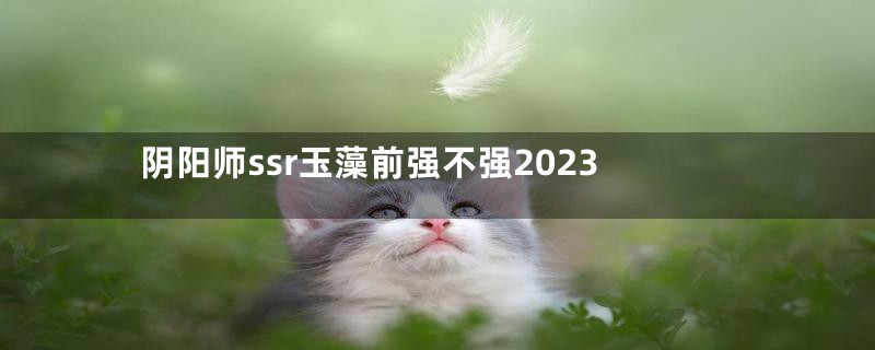 阴阳师ssr玉藻前强不强2023