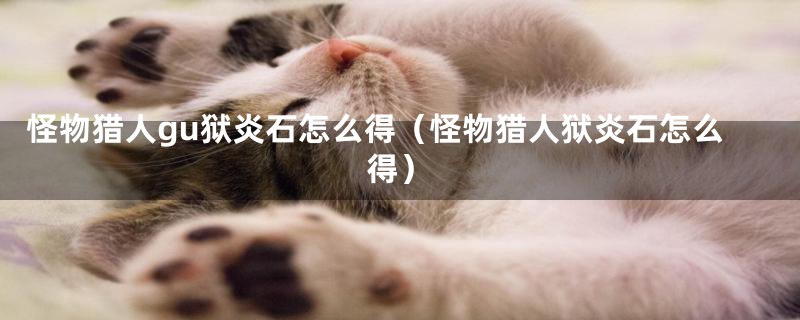 怪物猎人gu狱炎石怎么得（怪物猎人狱炎石怎么得）