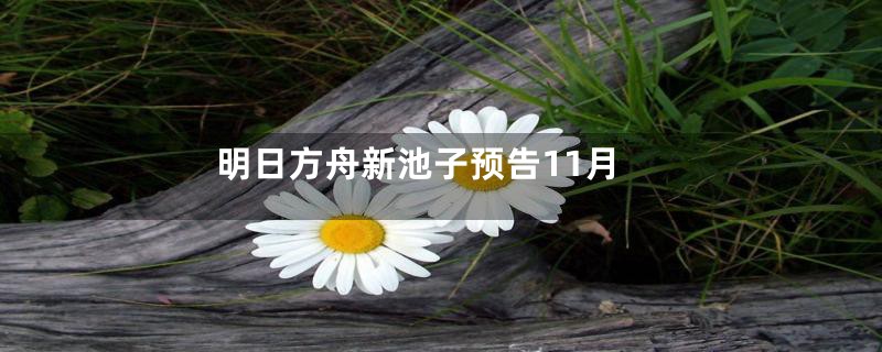 明日方舟新池子预告11月