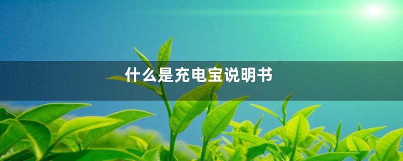 什么是充电宝说明书