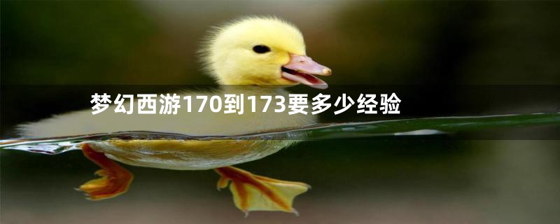 梦幻西游170到173要多少经验