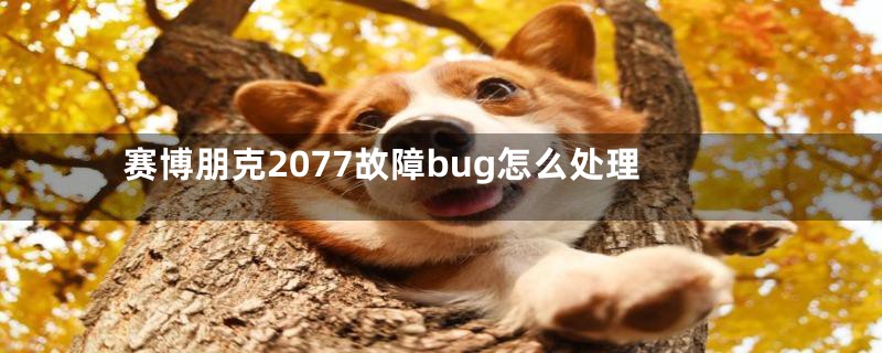 赛博朋克2077故障bug怎么处理