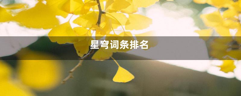 星穹词条排名