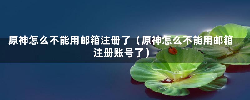 原神怎么不能用邮箱注册了（原神怎么不能用邮箱注册账号了）