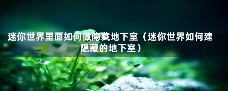 迷你世界里面如何做隐藏地下室（迷你世界如何建隐藏的地下室）