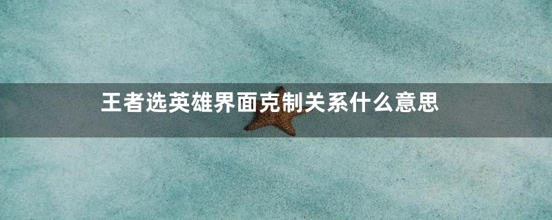 王者选英雄界面克制关系什么意思