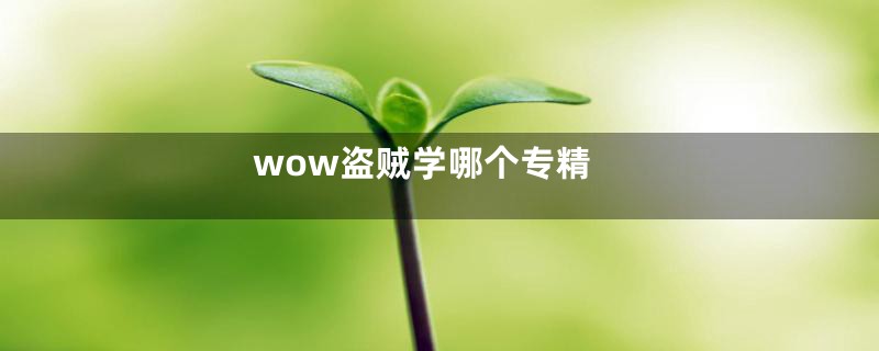 wow盗贼学哪个专精