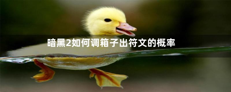 暗黑2如何调箱子出符文的概率