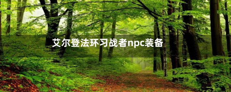 艾尔登法环习战者npc装备