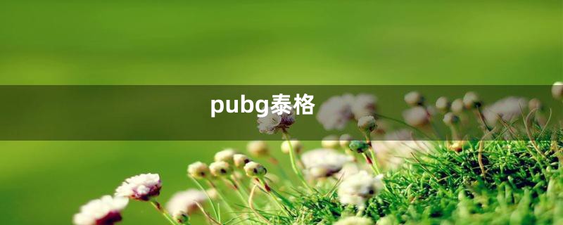 pubg泰格