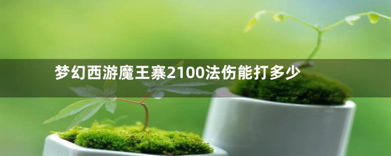 梦幻西游魔王寨2100法伤能打多少