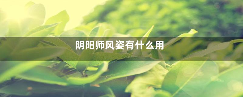 阴阳师风姿有什么用