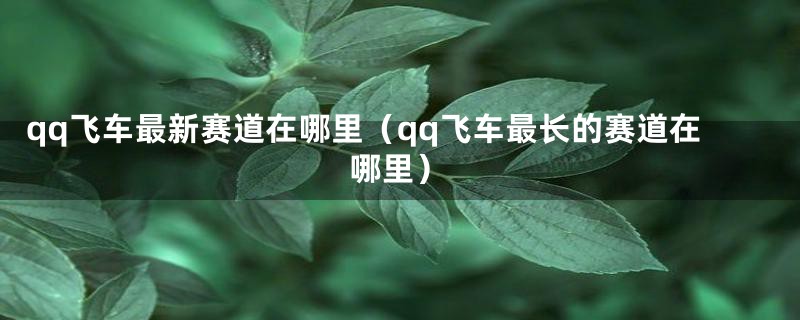 qq飞车最新赛道在哪里（qq飞车最长的赛道在哪里）