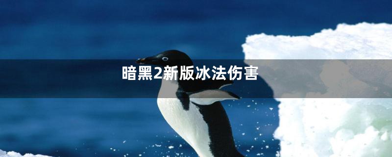 暗黑2新版冰法伤害