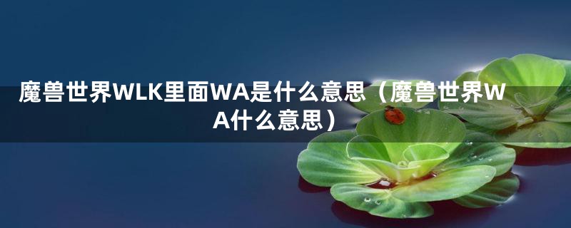 魔兽世界WLK里面WA是什么意思（魔兽世界WA什么意思）