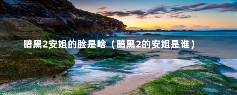 暗黑2安姐的脸是啥（暗黑2的安姐是谁）