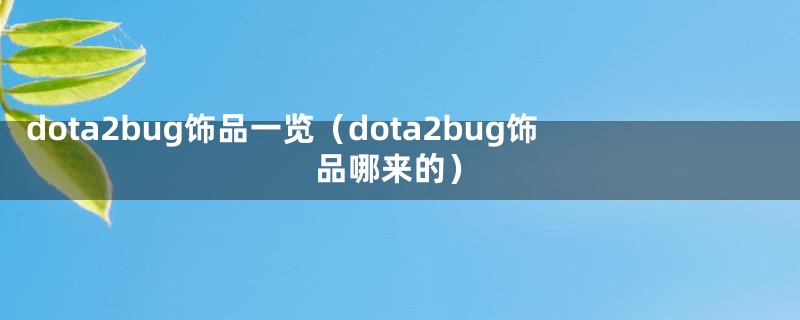 dota2bug饰品一览（dota2bug饰品哪来的）