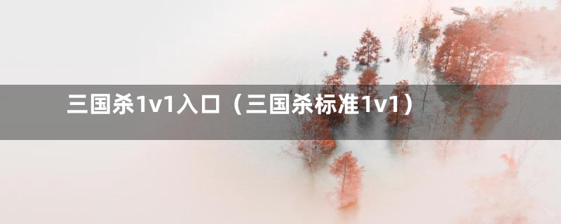 三国杀1v1入口（三国杀标准1v1）