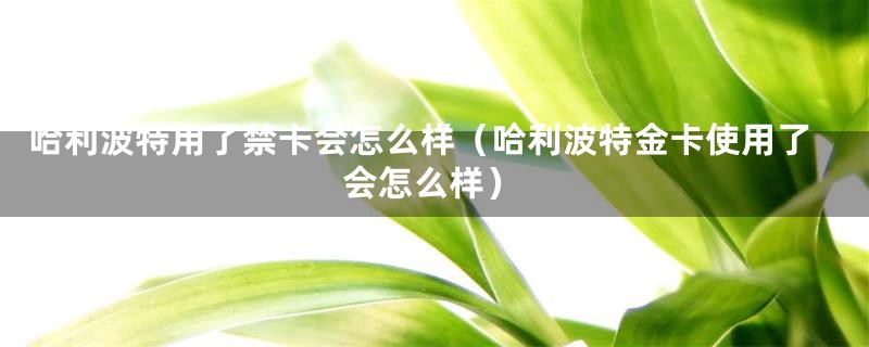 哈利波特用了禁卡会怎么样（哈利波特金卡使用了会怎么样）