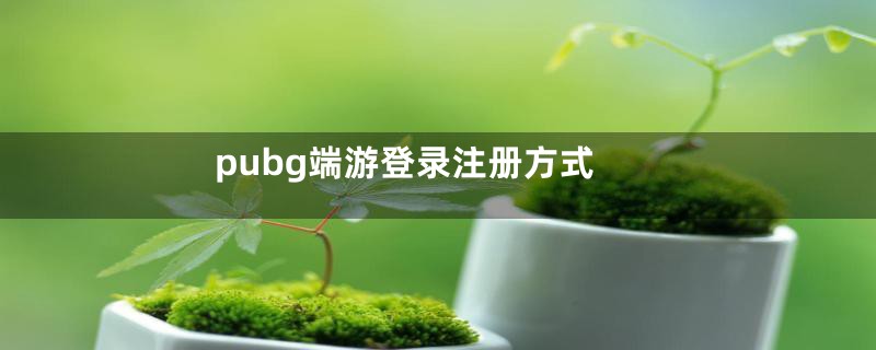 pubg端游登录注册方式