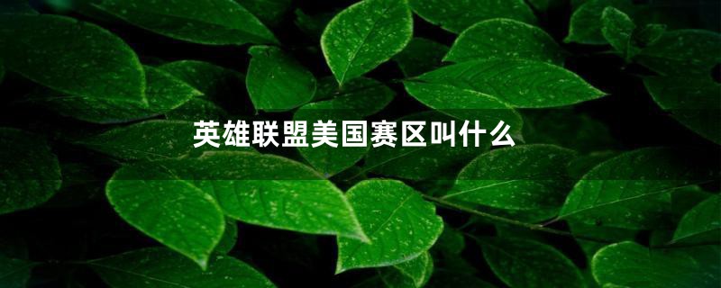 英雄联盟美国赛区叫什么