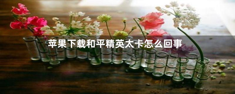 苹果下载和平精英太卡怎么回事