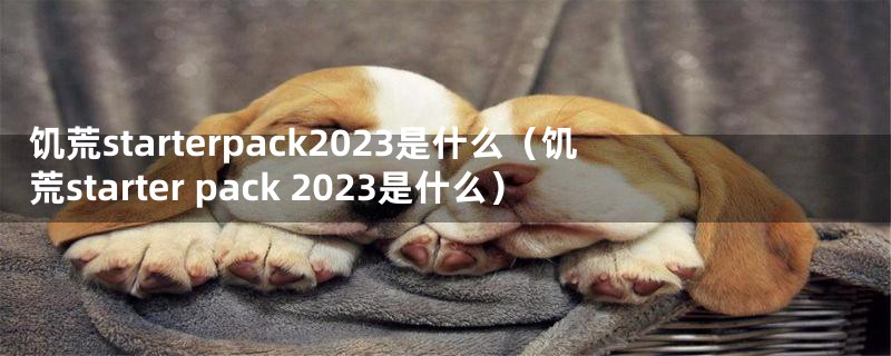 饥荒starterpack2023是什么（饥荒starter pack 2023是什么）