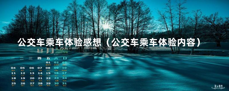 公交车乘车体验感想（公交车乘车体验内容）