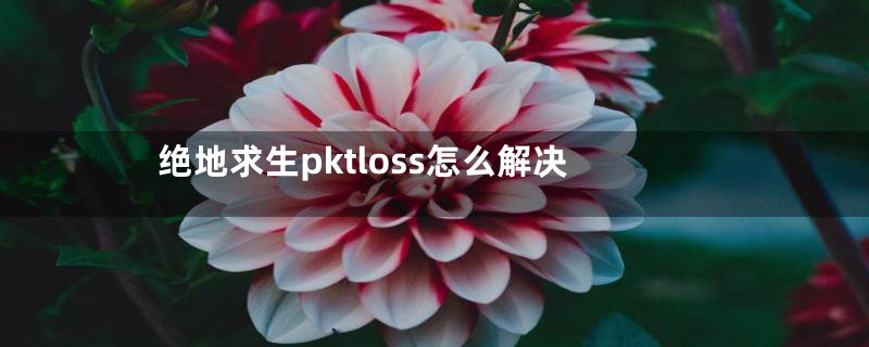 绝地求生pktloss怎么解决