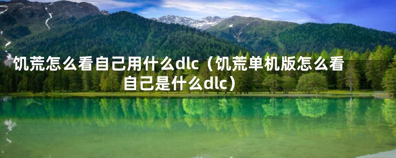 饥荒怎么看自己用什么dlc（饥荒单机版怎么看自己是什么dlc）