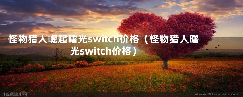 怪物猎人崛起曙光switch价格（怪物猎人曙光switch价格）