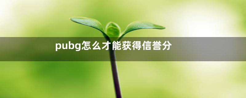 pubg怎么才能获得信誉分