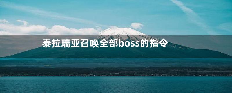 泰拉瑞亚召唤全部boss的指令