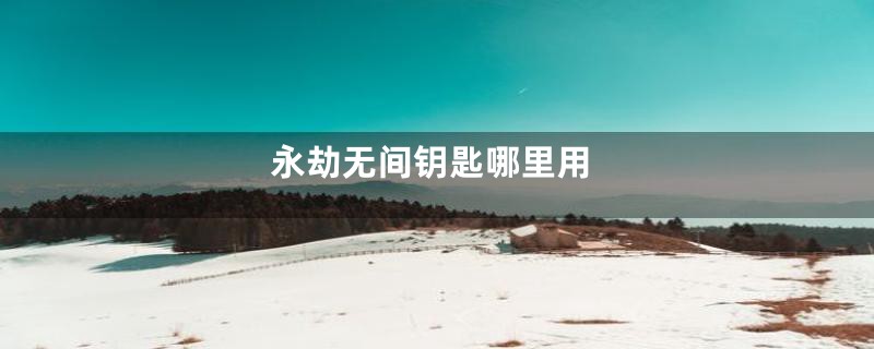 永劫无间钥匙哪里用