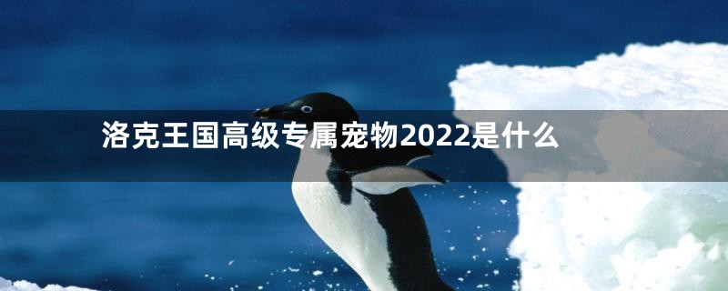 洛克王国高级专属宠物2022是什么